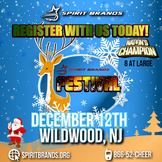 The Festival - December 12th, 2026 -Wildwood, NJ