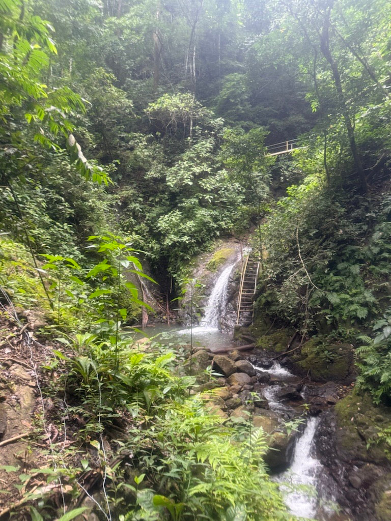Costa Rica Retreat